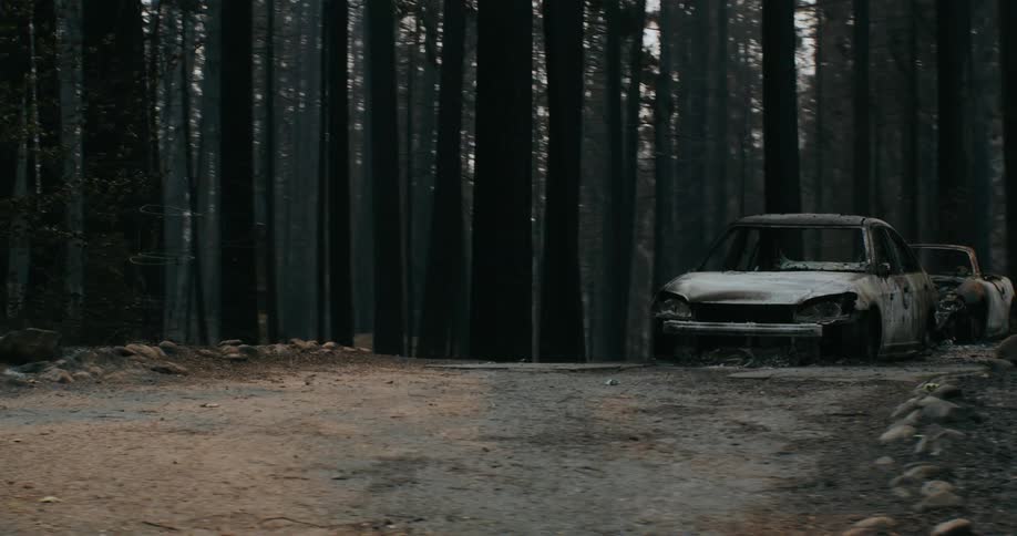 Broken down vehicles are in the forest