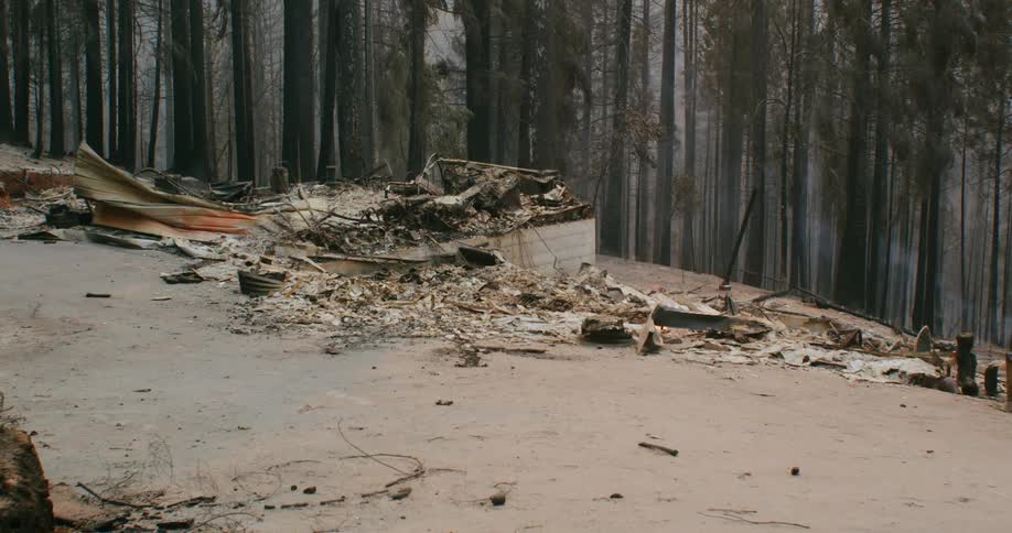 Burned down remains of a cabin in a clearing on a pine tree forest