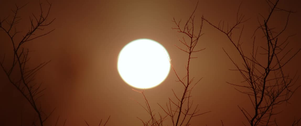 The rising desert sun