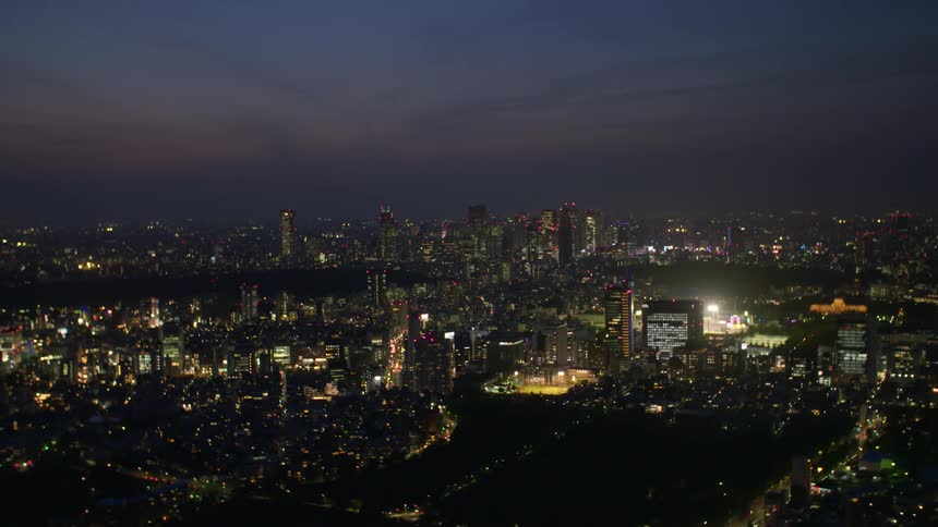 Aerial view of Tokyo city at night.