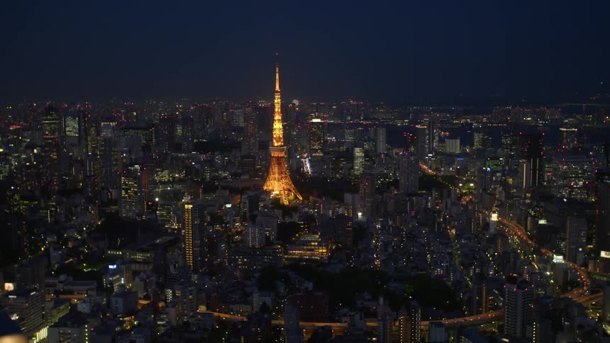 Aerial view of Tokyo city at night. The Tokyo Tower is lit up.
