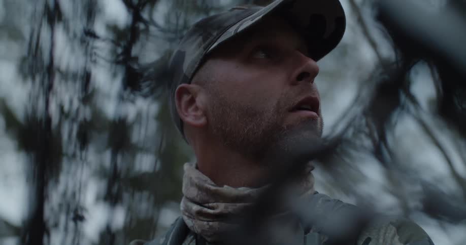 A man stands in a forest and looks up towards the sky
