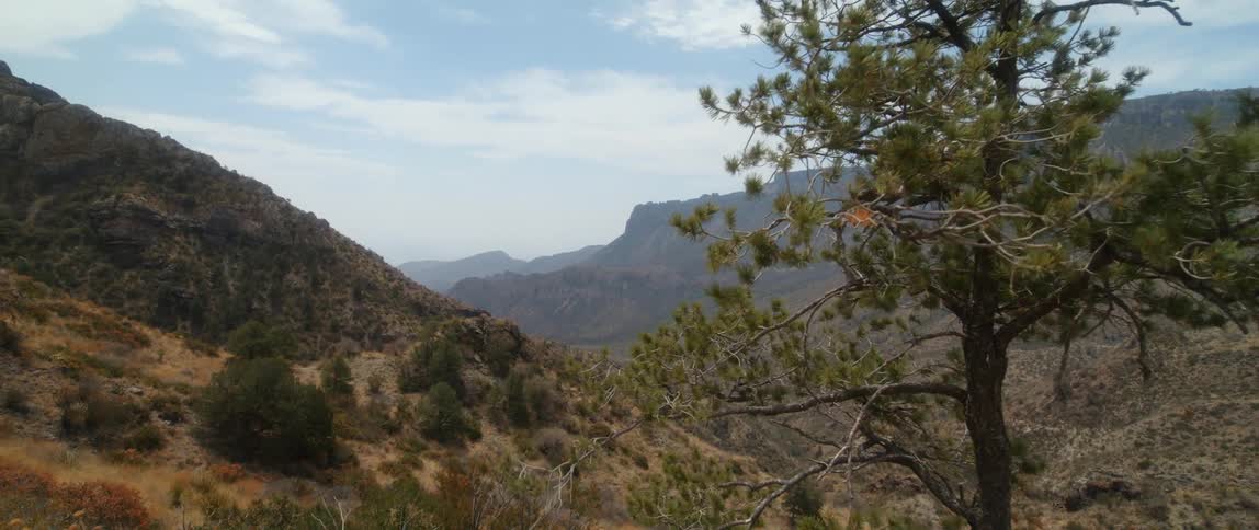 The wind blows across the mountains