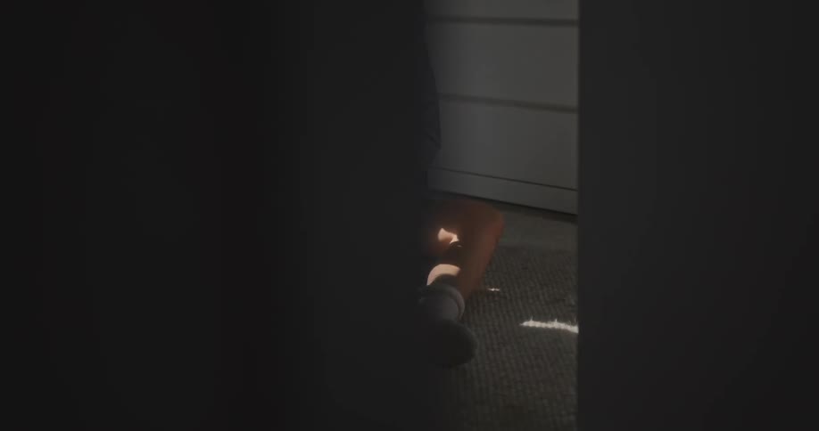 Woman with brown hair and blue shirt sitting on floor pets brown dogs in room