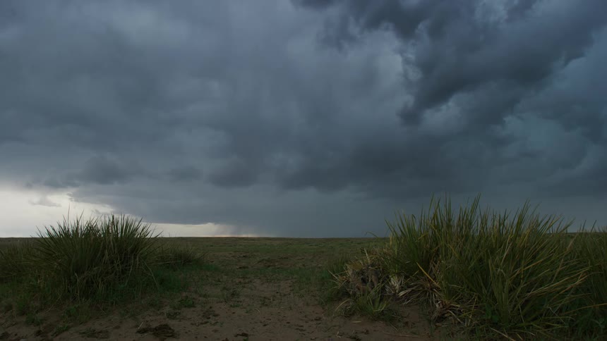 Time lapse of thunderstorm moving above a field with a yucca in the foreground