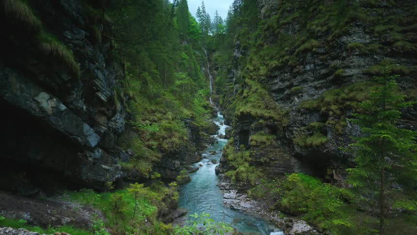 The view is of a river stream and trees are surrounding it