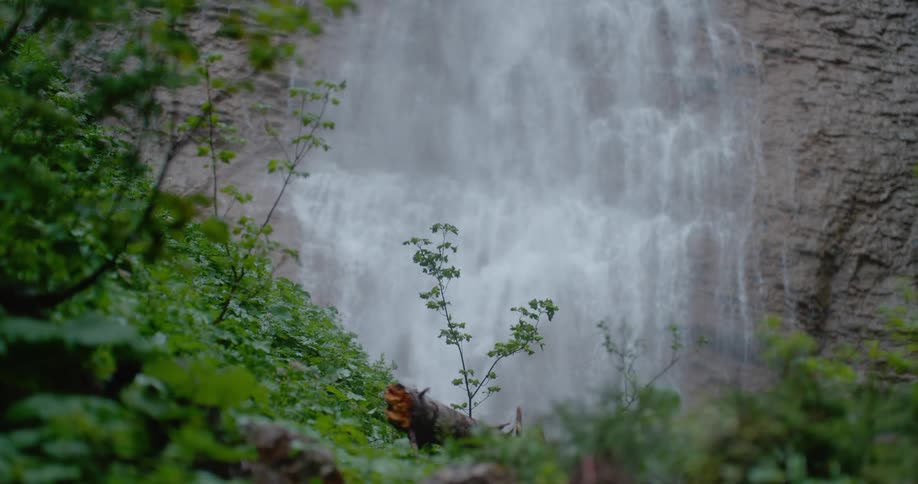 The view is of a water stream that is located in the forest area