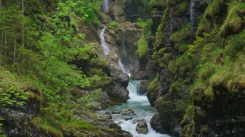 The view is of a water stream located in the forest area