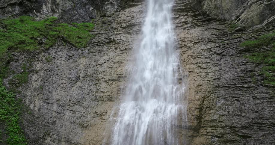 The view is of a water stream that is located in the forest area