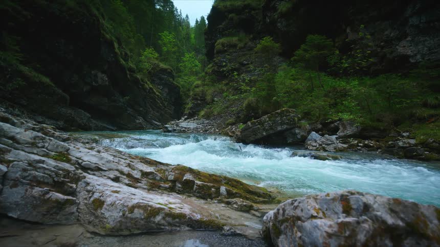 A river is flowing in a wilderness area