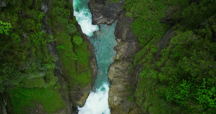 A river winds through a forest