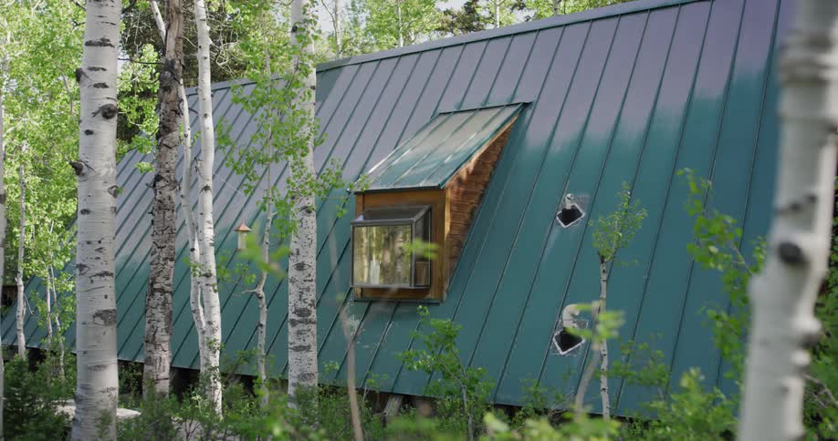 Small window coming out of the slanted metal roof of a cabin in the woods at daytime