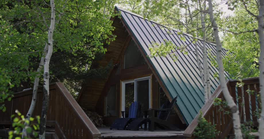 A view of a house in a forest