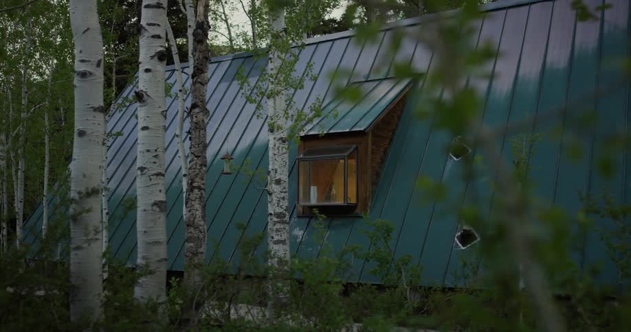 A view of a house in the forest