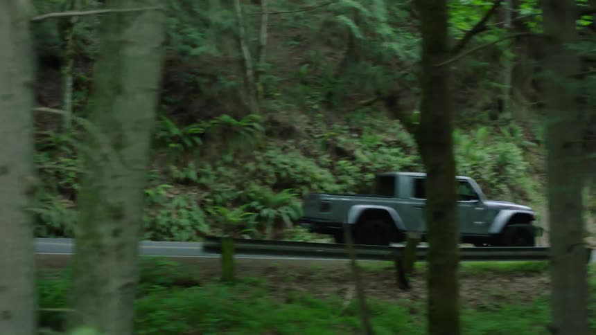 A gray truck travels on a road through the woods