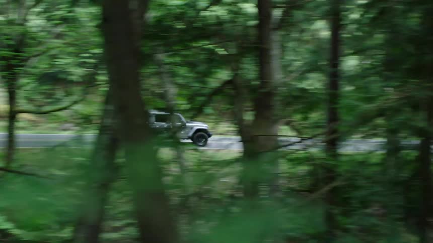 Silver pickup truck driving on a road through the forest at daytime