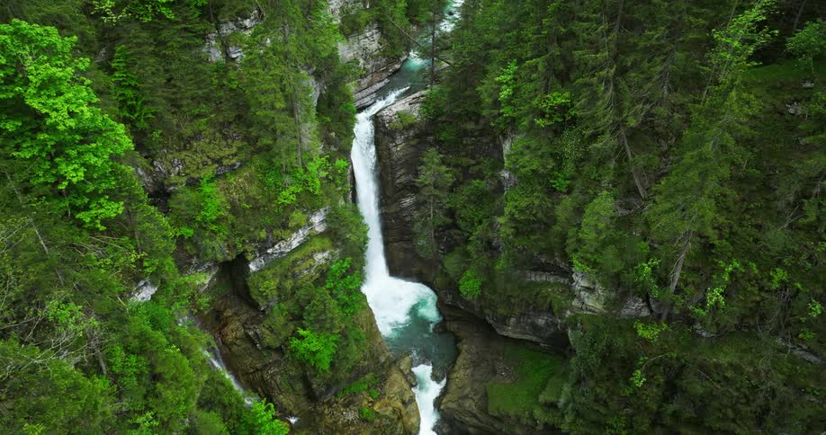 The view is of a water stream that is located in the forest area