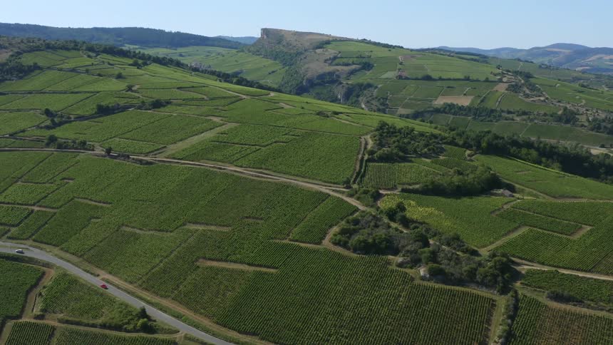 Cars drive on roads that cut through large fields full of crops in the mountains