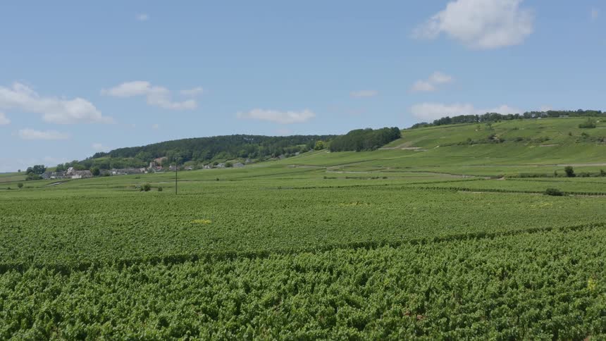 A view of the forest and hills in the middle of the day