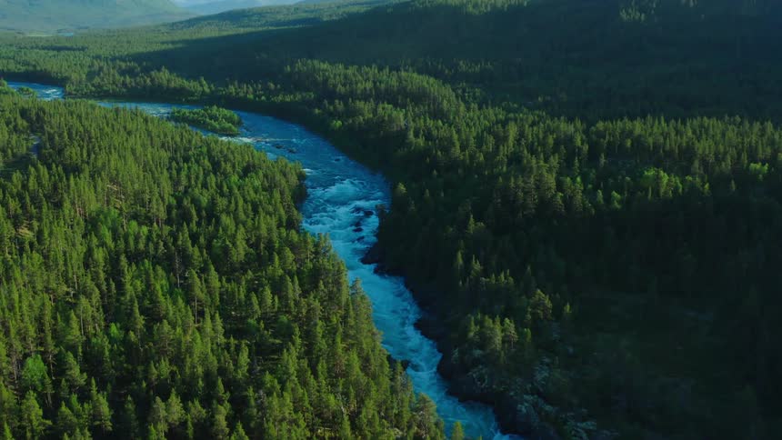 The view is of a water stream and trees surrounded by it