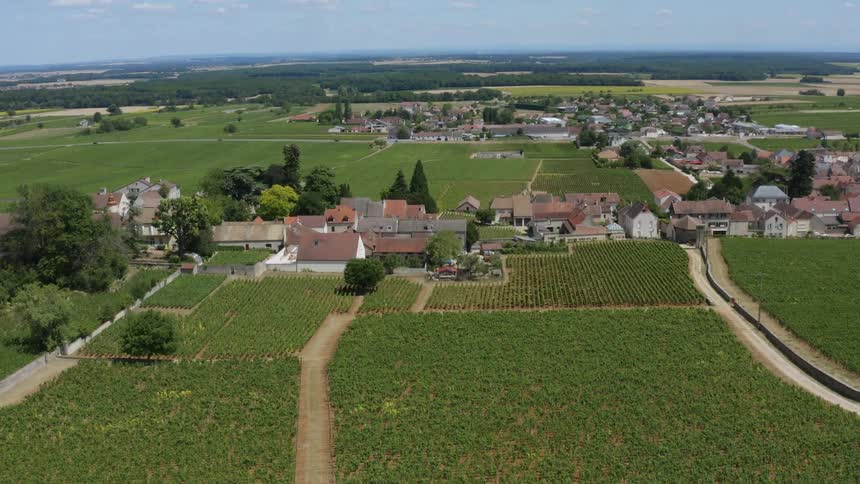 Aerial view of crops in a farm is displayed during spring