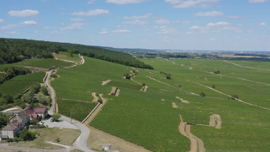The view of grass land and the skyline from the distance