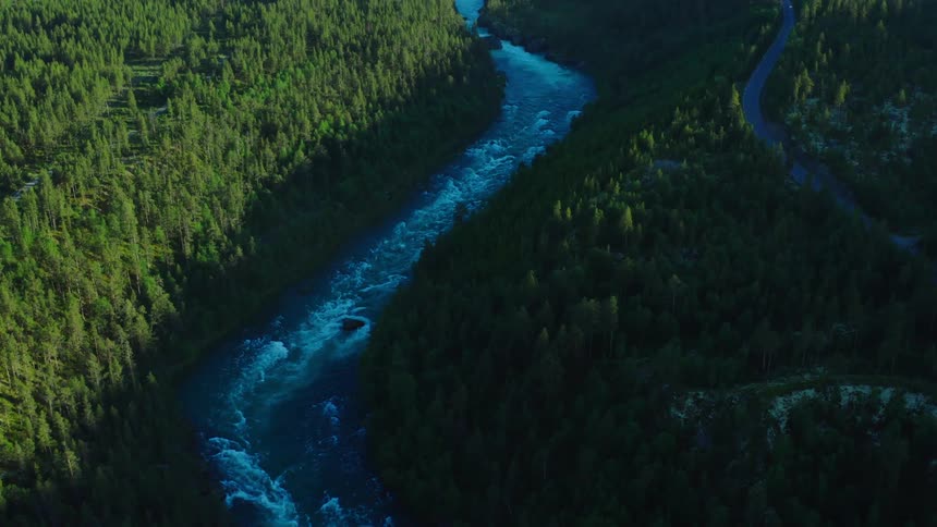 Rapids are formed in a river from boulders sitting in the water as it courses through a forest