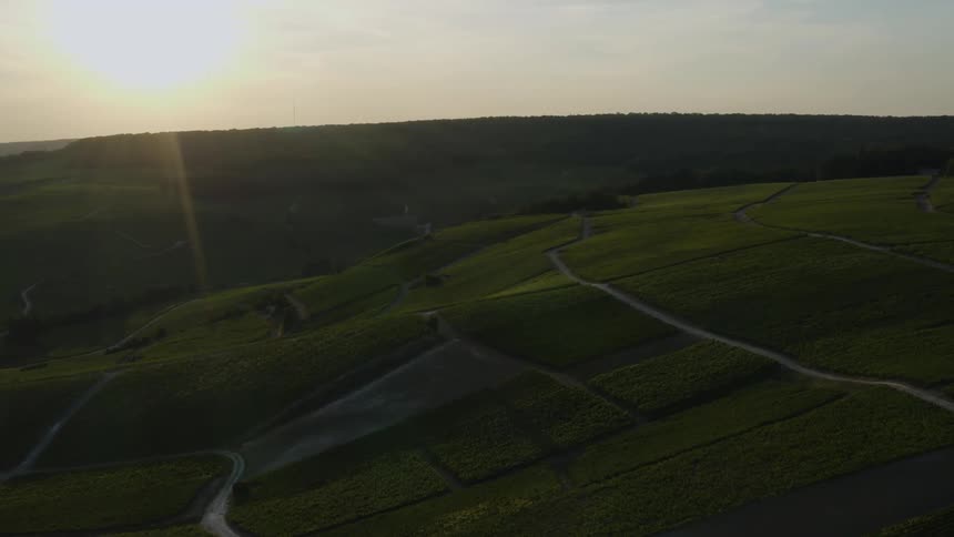 Divided farm fields under a bright shining sun