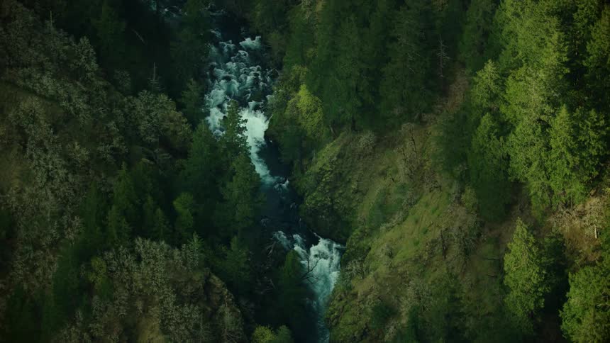 Pristine whitewater cascades down the Little White Salmon River deep in the Columbia River Gorge in this high altitude look down aerial shot of the river valley