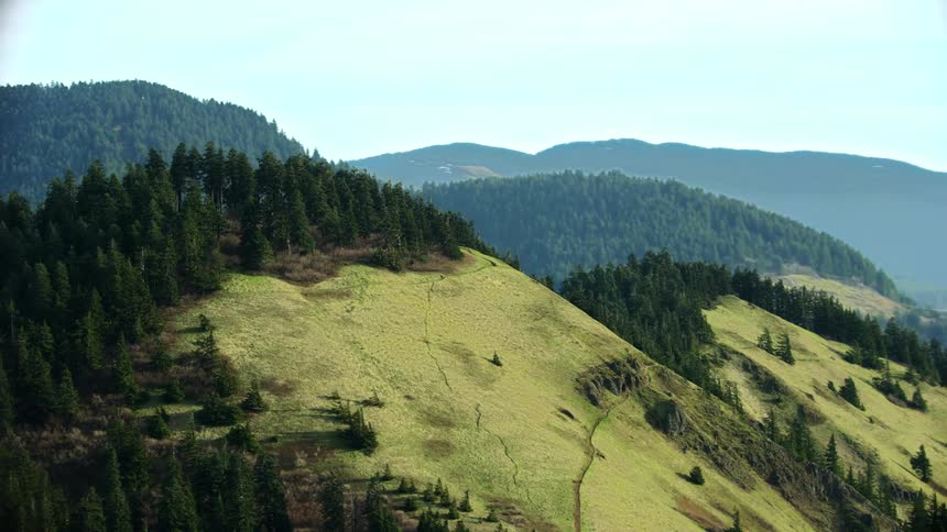 Hikers enjoying the stunning hike up Dog Mountain in the Columbia River Gorge is this vast and dynamic aerial shot in spring light