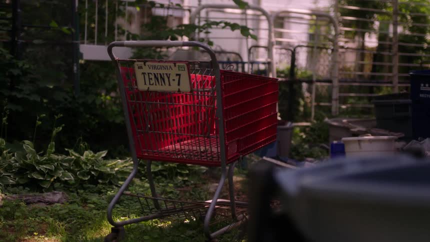 Grocery cart with attached license plate stands in yard near fence and house