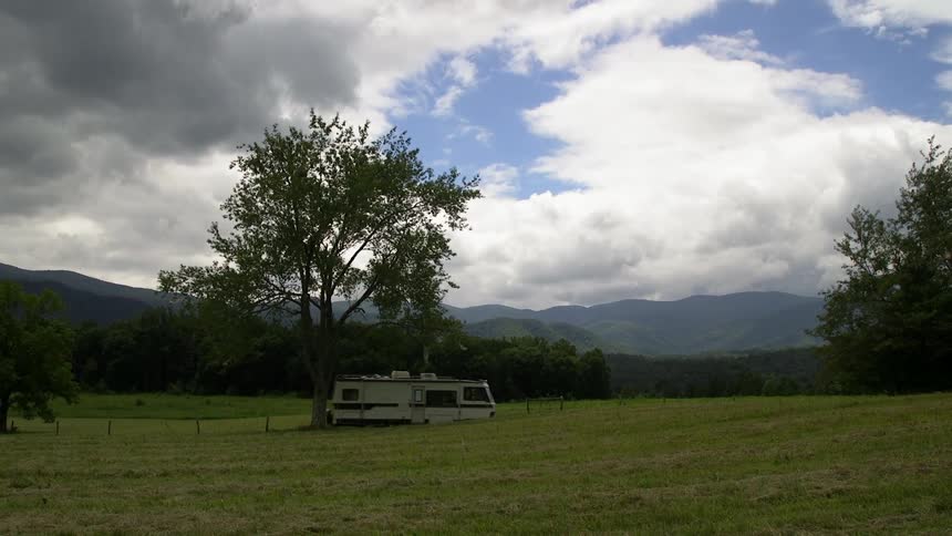 An rv drives past a tree