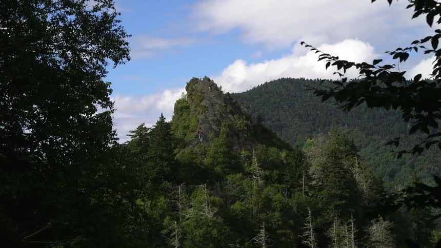 A mountain forest on a partly cloudy day
