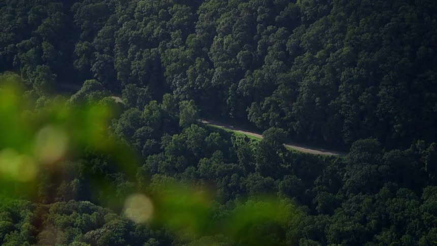 A road on a forested hill