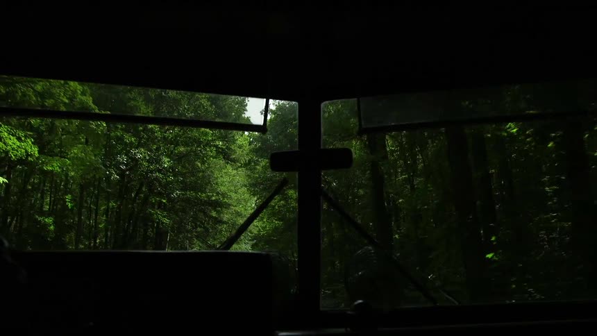 An rv drives through the woods