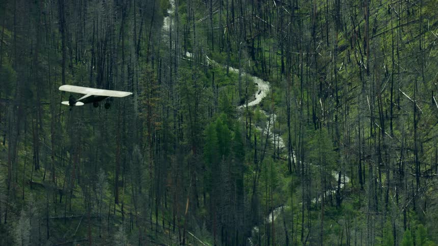 A small plane flies over a valley filled with trees and a river