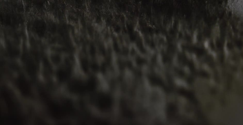 Close up of sand shaking and vibrating in chaotic patterns over a shaking surface