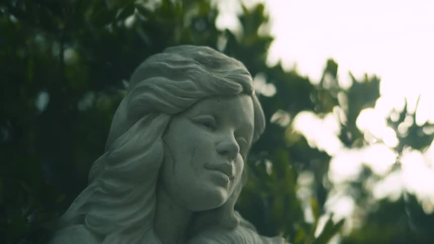 Strong winds through a tree behind a statue of a woman