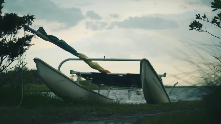 A catamaran sailboat is beached on the shore as a storm blows the trees