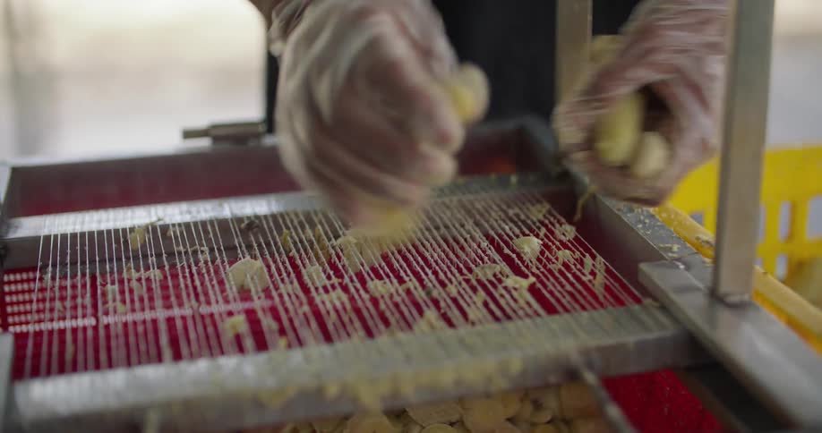An employee working with food