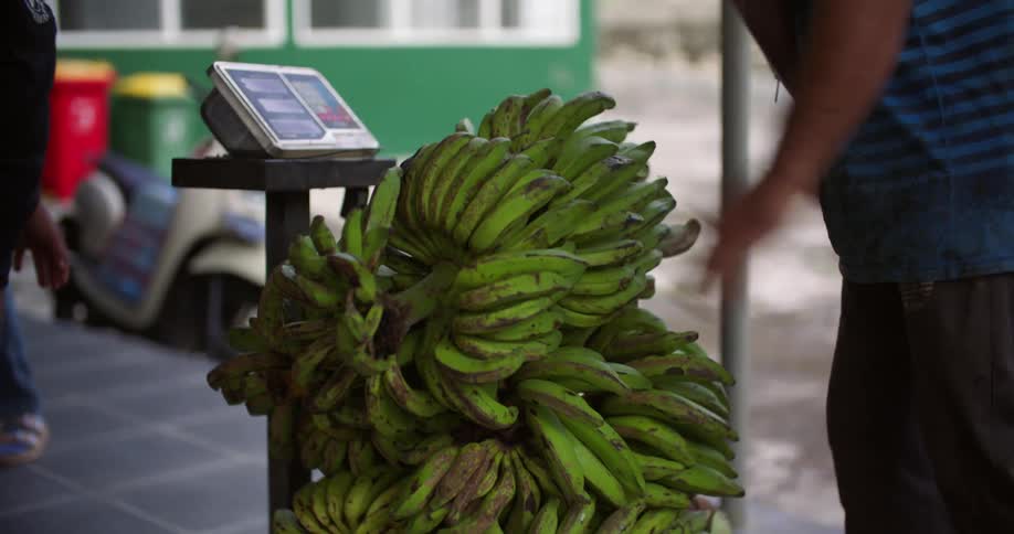 Man places bunches of bananas being delivered onto a scale as anotherperson waits