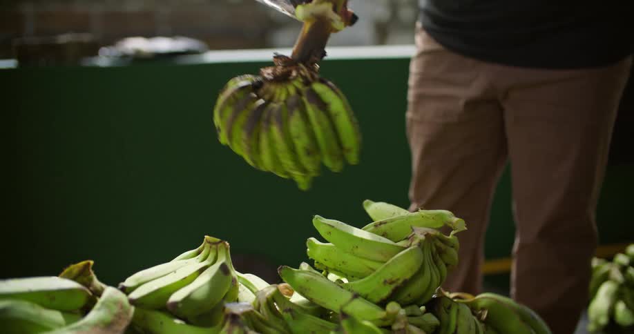 A man cutting bananas