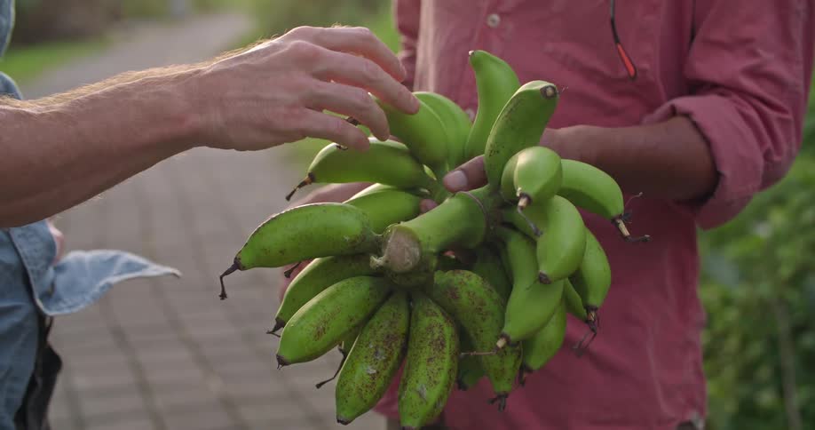 Two men have a conversation while holding a bunch of green plantains