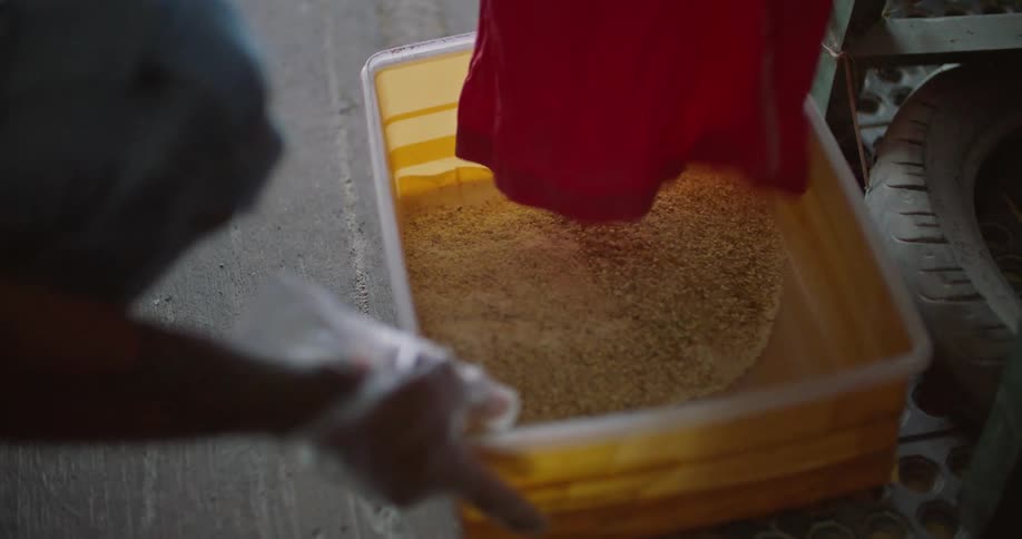 Woman empties large powder into container and sifts it through their hands
