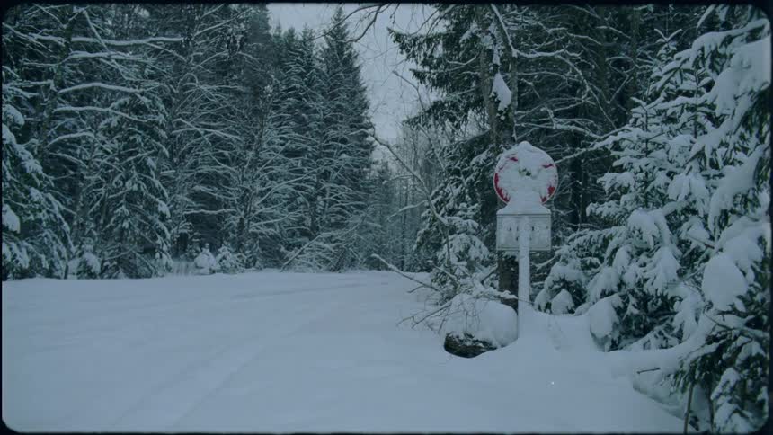 A rural road through the woods is covered in snow and trees and a street sign have snow stuck to them