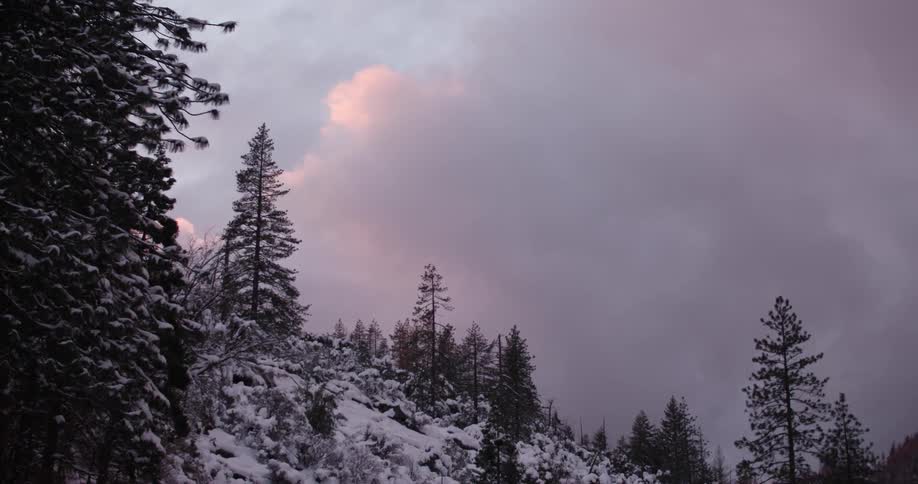 A hillside is covered with snow and trees