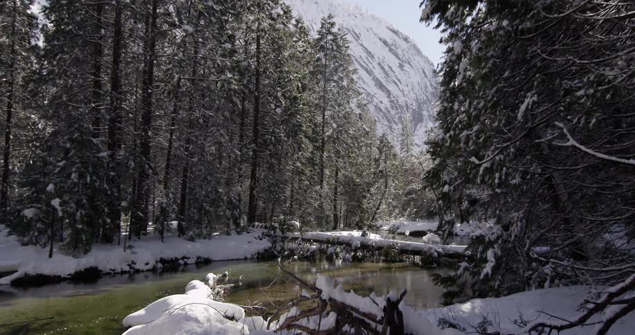 Snowy river running through a forest before some snowy mountains