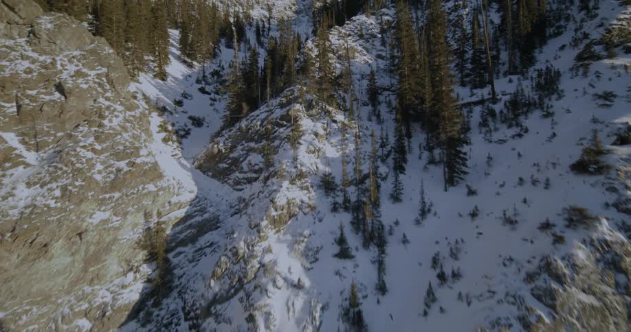A dusting of snow covers the ground in a hilly forest