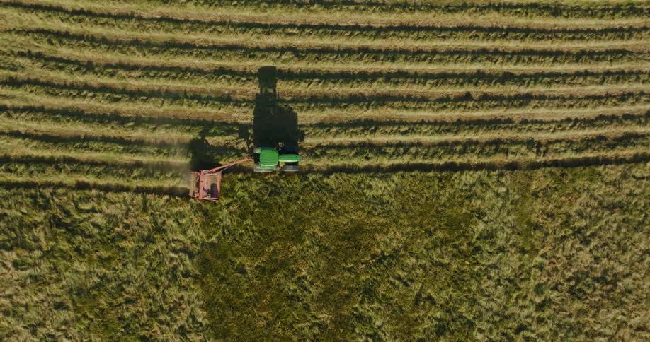 The sun shines on a tractor that is cutting grass in a field