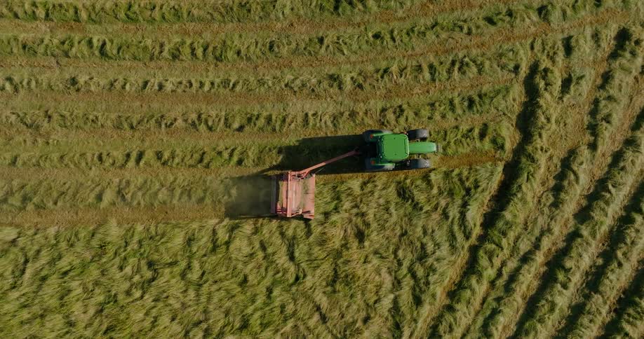 The tractor works the field